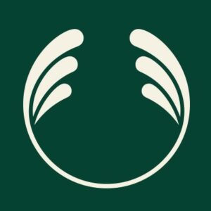 chainels-111774958822473651-logo